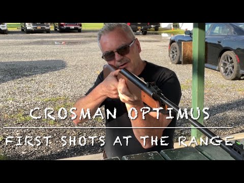 Crosman Optimus .177 break barrel pellet rifle first shots at the range.