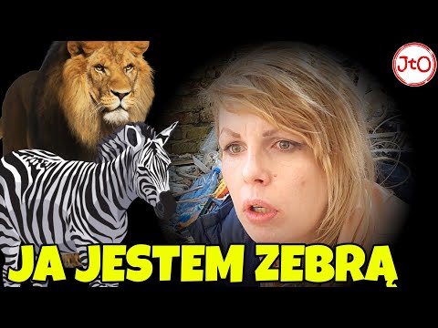 ANIELA - "Ja to ZEBRA, DANIEL i BLADY to LWY"