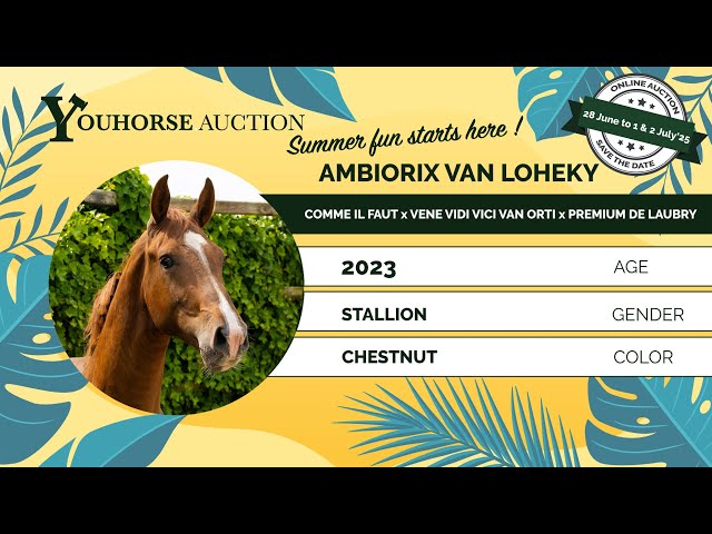 Ambiorix van Loheky