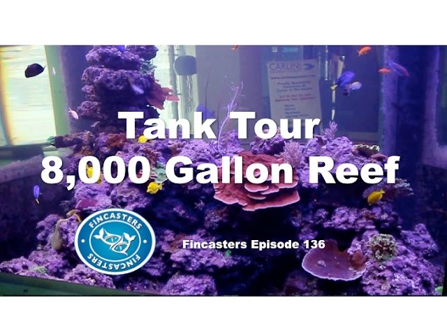 8,000 Gallon Reef Tank Fincaster Episode 136