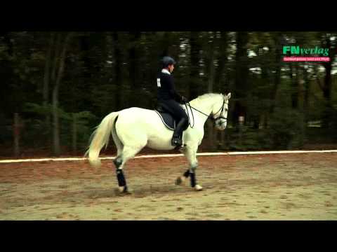 Halbe Parade - Grundausbildung für Reiter und Pferd