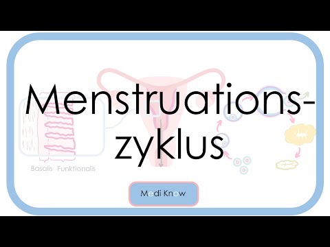 Menstrual cycle - ovulation - hormonal regulation (GnRH, FSH, LH, estradiol, progesterone)
