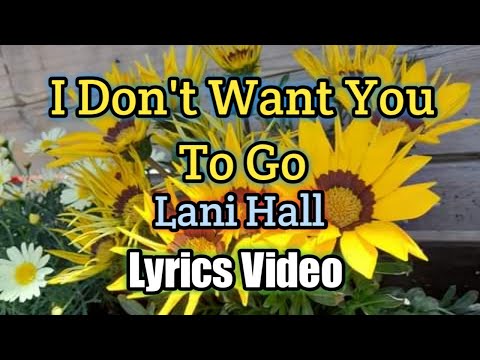 I Don't Want You To Go - Lani Hall (Lyrics Video)