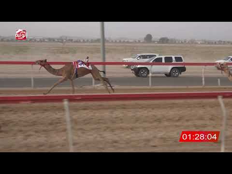  ش 11 (النايفه) لـ خليفه علي بن مروشد 2:59 ، شارة الصندوق 2026/08/01 فطامين سويحان