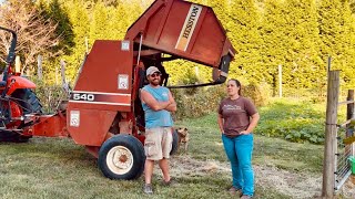 Better Than a Snowball || From The Hayfield to The Supper Table || September 2025