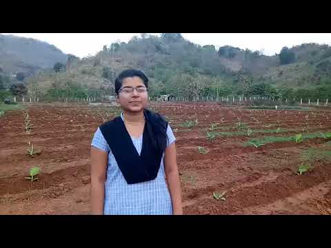 GIET GUNUPUR II AGROTECH 2K18 II STUDENTS FEEDBACK