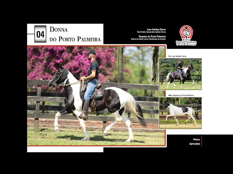 04 Donna do Porto Palmeira