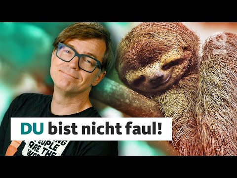 Persönlichkeit: Warum es keine faulen Menschen gibt! | Quarks Dimension Ralph