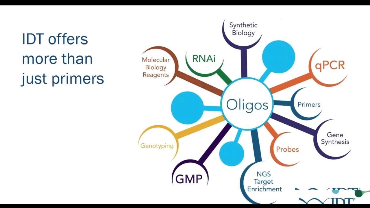 How to improve your CRISPR experiments