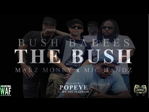 BUSH BABEES – „THE BUSH“ FEAT. MARZ MONEY & MIC HANDZ #bushbabees #weareflatbush #flatbush