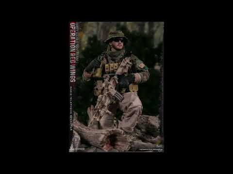 DAMTOYS DAM 78081 Redwing Miritary figure 1/6