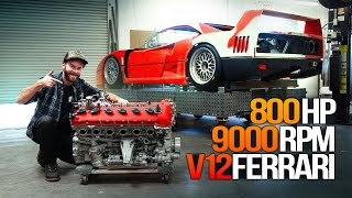 Ferrari Enzo V12 on Steroids! The ULTIMATE Engine for my F40!