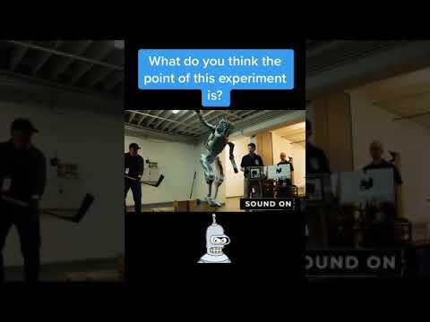 CGI on tiktok: How do you think the point of this experiment is?