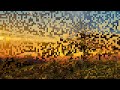 Aesthetic Beautiful Nature Whatsapp Status Video 4kstatusvideo Very Nice Nature Whatsapp Status