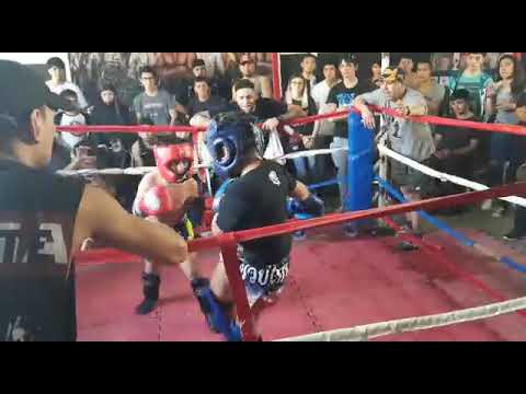 Renegado Fight Team 🥊🐍🇦🇷