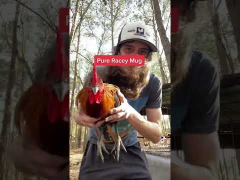 Pure Racey Mug Brood Stag at Kenzie Gamefarm