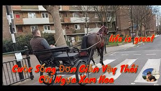 Vó Ngựa Trên Phố . Nghe Tiếng vó Ngựa Cảm Giác Như Một Bản Nhạc Không Lời .Cute Horse On The Street