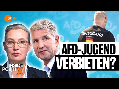 Warum der AfD nun die eigene Jugendorganisation gefährlich wird | Inside PolitiX