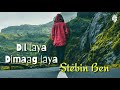 Dil Laya Dimaag Laya Lyrics Full Song