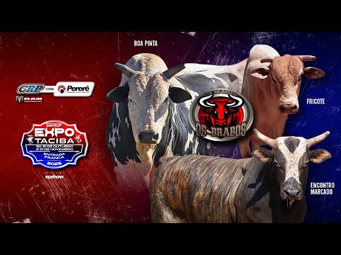 Rodeio de TACIBA 2025 (S0RTEI0 / QUINTA / ROUND 1)