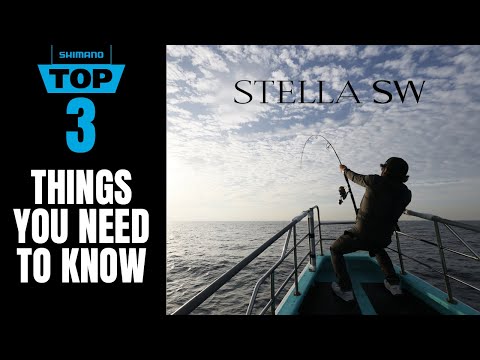 Shimano Stella...