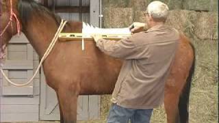 Synergist Saddles Part 4-EQUImeasure Kit
