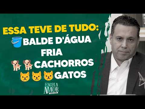 ESSA TEVE DE TUDO: 🪣Balde d'água fria🐕🐕Cachorros😾😾😾Gatos