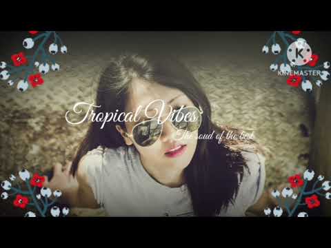 SHIPA PAR CI (SNIPSIDE X NASH) 2M24