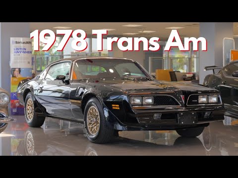 1978 Trans Am (and more!!) | Showroom Vlog