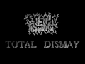 HOSTILE ORDER TOTAL DISMAY 2017
