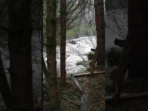 01-Apr-2022 - Râul Răcătău - Localitatea: Măguri - Răcătău, Județ Cluj.