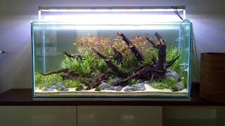 Download lagu Cara Pembuatan Aquascape Natural 85cm dengan Kayu Rentek mp3