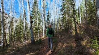Silent Hiking the Bear Creek Trail | San Juan National Forest, Colorado | Part 2 : Inbound Leg