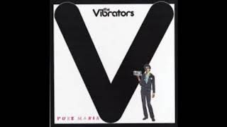 Vibrators - You broke my heart
