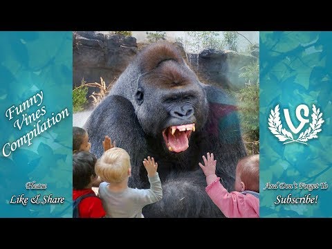Animals Scaring Kids At Zoo | Animals Love To Scare Cute Kids
