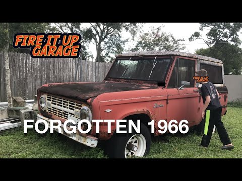 LEFT FOR DEAD! 1966 CLASSIC FORD BRONCO 1966-1977 Early Bronco #bronco #ford #barnfind