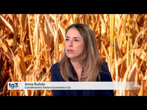 RAI 3 FUORI TG - Come il clima sta cambiando l'agricoltura italiana. Intervista a Anna Rufolo (Cia)