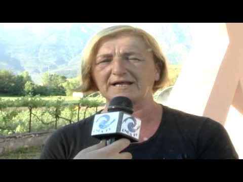 ONDA TG 21.05.2014 - MANCANZA FONDI CANILE CODE FELICI