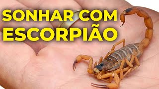 SIGNIFICADO DE SONHAR COM ESCORPIÃO: É ruim Perigoso Entenda agora!