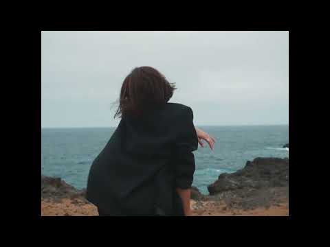 Ant Cosmos - Luciérnagas