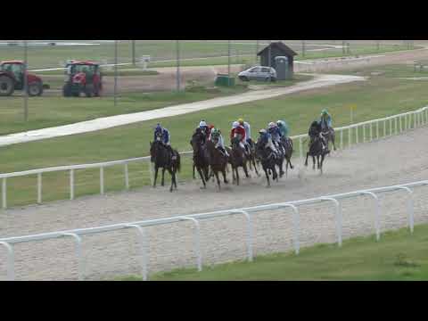 2018.06.10. 8. futam - PUSZTA-DIÓSI HENDIKEP (V/b.) (szintetikus pálya)