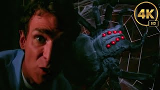 Bill Nye The Science Guy | Spiders