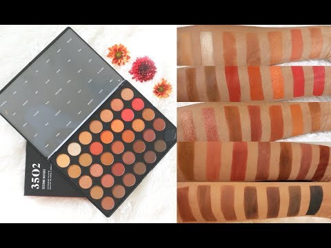 NEW Morphe 3502 Palette/Detail Swatches/ Review