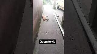 16 de outubro de 2026