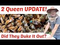 Beekeeping One Hive Two Queens The Moment Of Truth