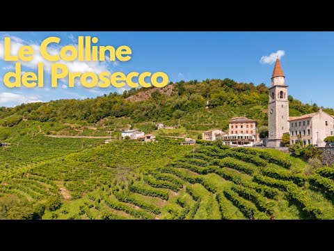 Exploring Le Colline del Prosecco: Italy's Sparkling Gem