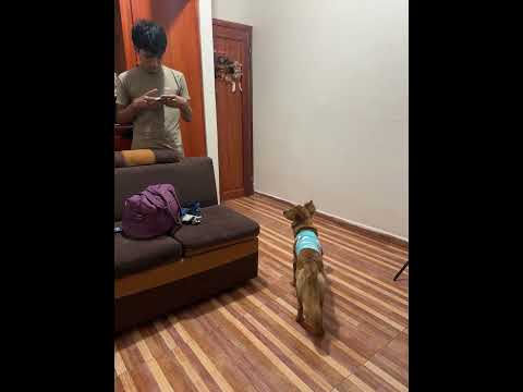 Papá de Max 😍🤩#tena #napo