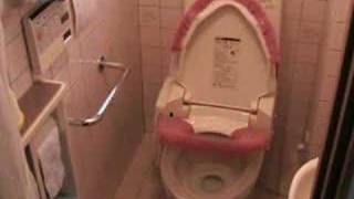 Japan Trip - Tokyo, Kyoto, Osaka, Yokohama . . . ydpiku