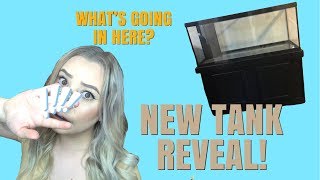 NEW TANK REVEAL! | WHAT'S GOING IN HERE? by Emma Lynne Sampson