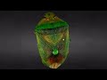 Ladybug 3D Microscope